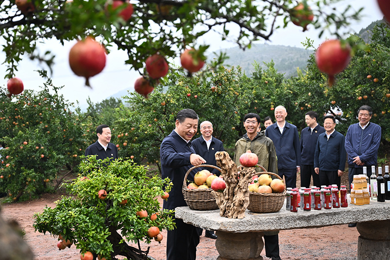 美狮贵宾会·(中国)官方网站